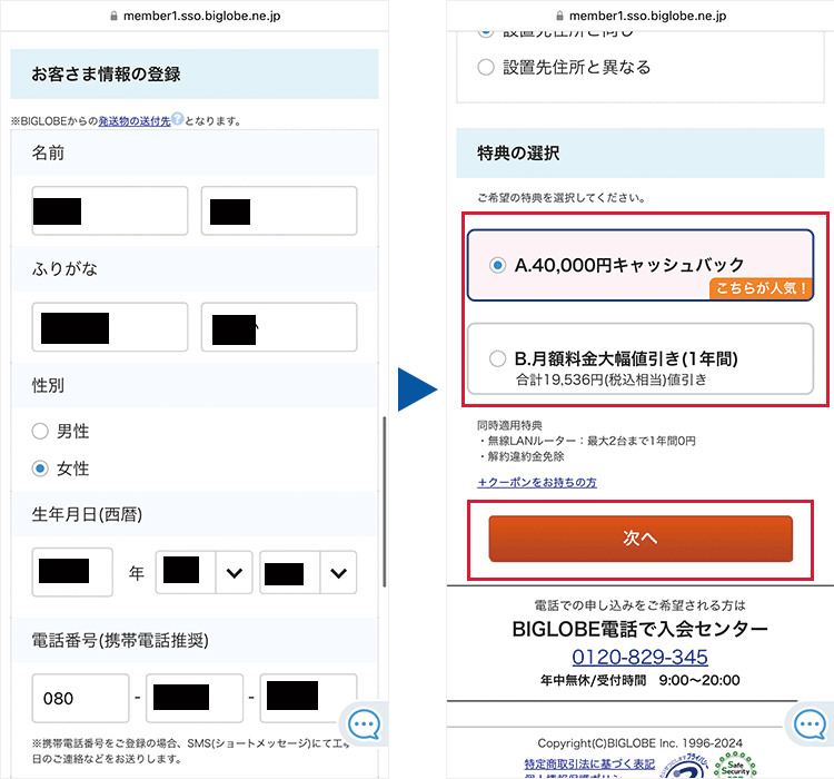 申込手順：個人情報と特典