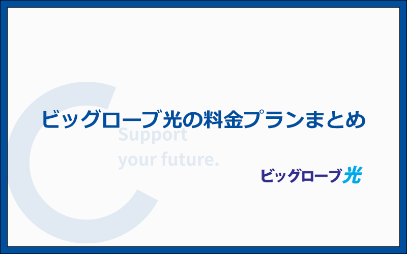 ビッグローブ光の料金