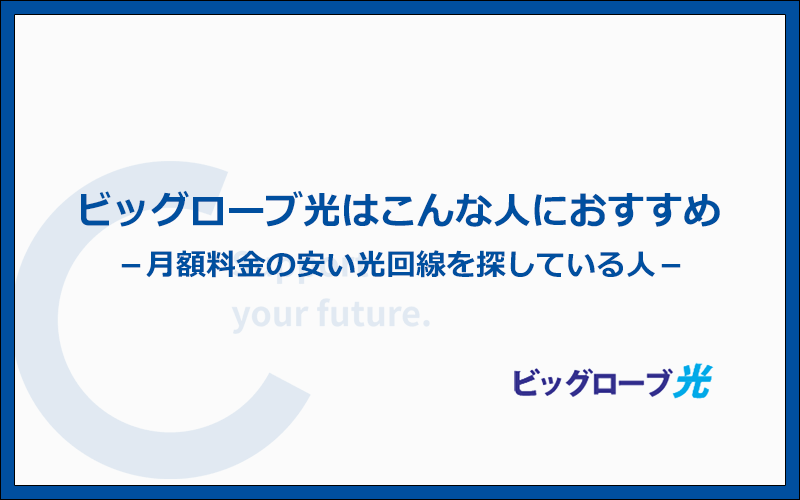 ビッグローブ光はこんな人におすすめ