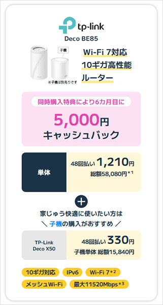 ビッグローブ光申し込みと同時に無線ルーターを購入で5000円キャッシュバックのキャプチャ画像(10ギガ)