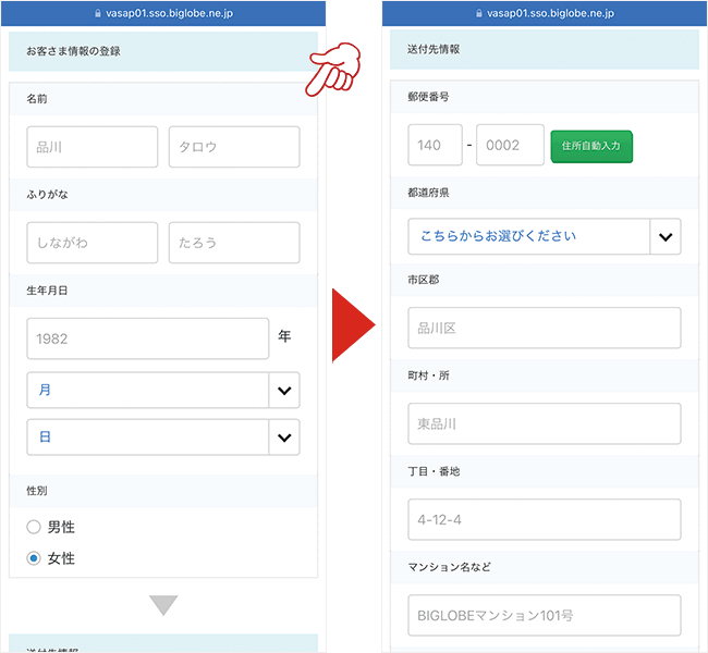 BIGLOBE WiMAXの申し込み画面4(端末+SIM)
