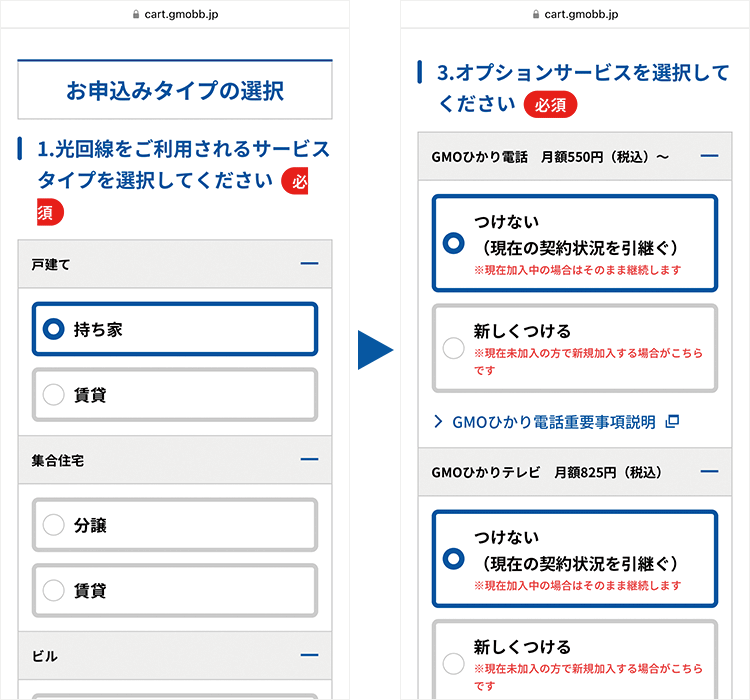 申込手順:オプション