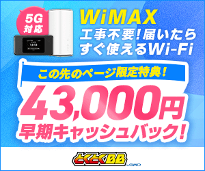 GMOとくとくBB WiMAXのバナー画像