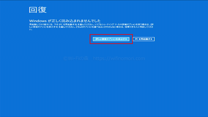 「詳細オプション」を選択