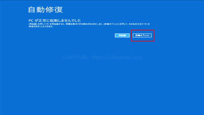 詳細オプションを選択する