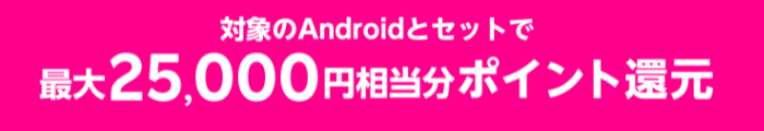 最大25,000円分の楽天ポイントがもらえるキャンペーン