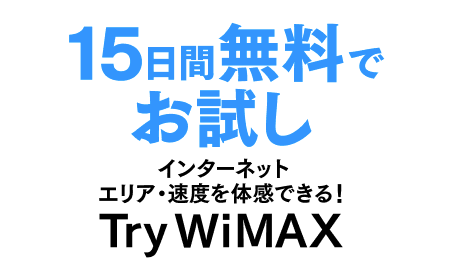 Try WiMAX