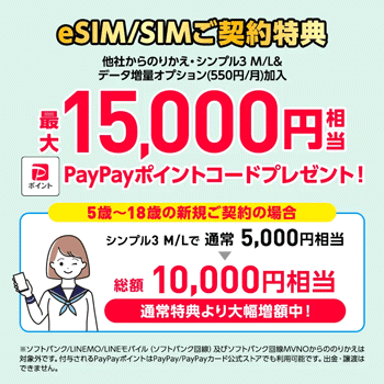 新規・乗り換え（SIM契約のみ）：最大15,000pt